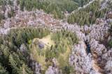 89797 Upper North Fork Siuslaw Road - Photo 41