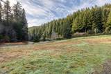 381 Anderson Creek Road - Photo 51