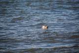 1000 Bay Boulevard - Photo 44