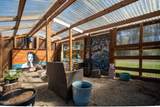 11880 Mallard Street - Photo 32