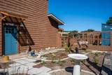11880 Mallard Street - Photo 53