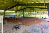 11880 Mallard Street - Photo 62