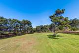11880 Mallard Street - Photo 8