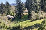 34775 Bay Loop Road - Photo 2