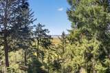 34775 Bay Loop Road - Photo 8