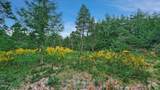 5885 Fox Creek Way - Photo 23