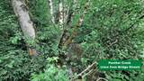 TL 4500 Deerlane Loop - Photo 8
