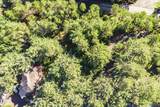 10 Driftwood Lane - Photo 17