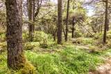 10 Driftwood Lane - Photo 5