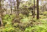 10 Driftwood Lane - Photo 6