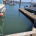 1000 Bay Boulevard - Photo 1