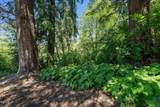 1600 Fernwood Drive - Photo 3