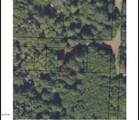 TL 5400/5500 Marigold Street - Photo 18