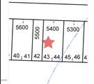 TL 5400/5500 Marigold Street - Photo 19