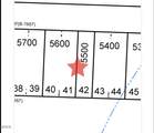 TL 5400/5500 Marigold Street - Photo 21