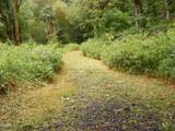 TL20123255 Alsea Highway - Photo 1