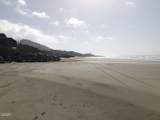 3509 Hwy 101 N - Photo 24