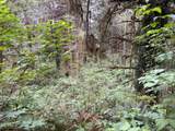 1916 Wagon Road - Photo 30