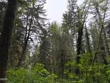 1916 Wagon Road - Photo 32