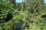 TL 203 Siletz River - Photo 10