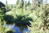 TL 203 Siletz River - Photo 11