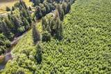 TL 203 Siletz River - Photo 9