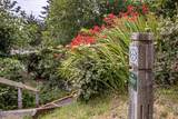 355 Horizon Hill Road - Photo 55