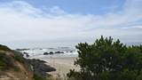 TL2200 Seal Rock Street - Photo 10