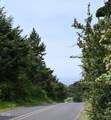 TL2200 Seal Rock Street - Photo 6