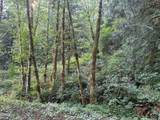 1300 Point Drive - Photo 9