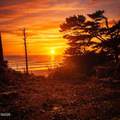 TL 400 Coast Highway - Photo 15