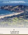 TL 400 Coast Highway - Photo 27