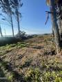 TL 400 Coast Highway - Photo 6