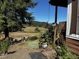 8365 Bewley Creek Road - Photo 29