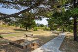 415 Fall Creek Drive - Photo 56