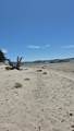 1302 63rd Street - Photo 28