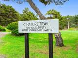 10 Big Tree Road - Photo 43