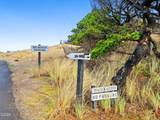 10 Big Tree Road - Photo 44