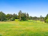 10 Big Tree Road - Photo 52