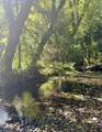 566 Bear Creek Road - Photo 39