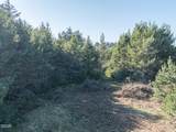 TL 6500 Thompson Street - Photo 21