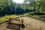 1836 Little Switzerland Road - Photo 2
