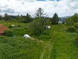 TL 3603 Marolf Loop Road - Photo 15