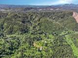 2495 Sams Creek Road - Photo 31