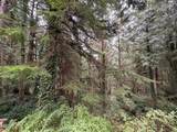 3700 Highway 101 - Photo 14
