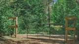 5885 Fox Creek Way - Photo 4