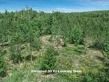 5885 Fox Creek Way - Photo 8