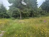 TL 00101 Island Street - Photo 5