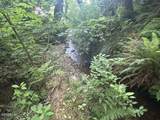 TL 00101 Island Street - Photo 7