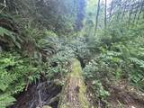 TL 00101 Island Street - Photo 8